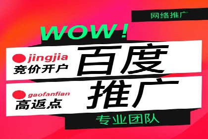 竞价托管实战案例：优化广告预算分配